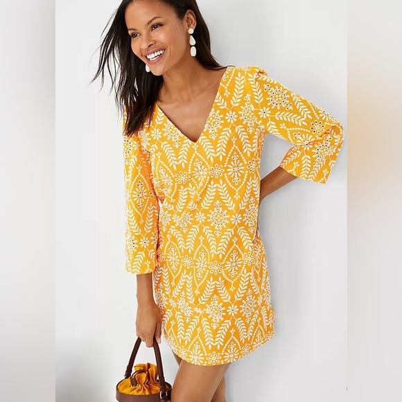 Ann Taylor Eyelet Dress - Picture 4 of 7